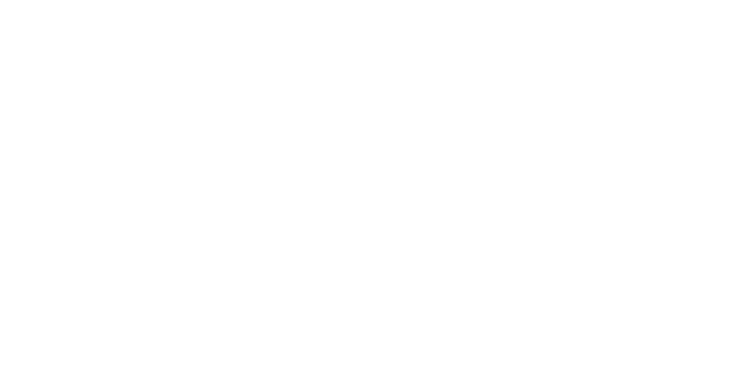Räder Icon Radvarianten