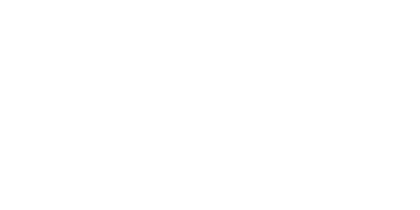 Austria Icon Austria